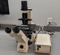 Zeiss Microscope Axiovert 40 CFL Inverted Phase Contrast Fluorescence Trinocular