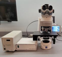 Zeiss Microscope Axio Imager M2m Upright Fluorescence Materials Trinocular 