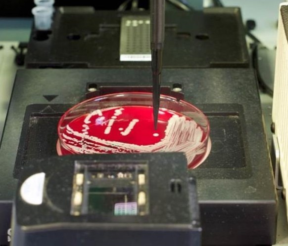 SciRobotics Pickolo-MI MALDI-TOF Target Spotting for Microbial for Tecan Robot Fluent